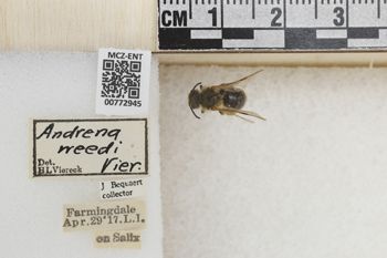 Media type: image;   Entomology 772945 Aspect: Labels